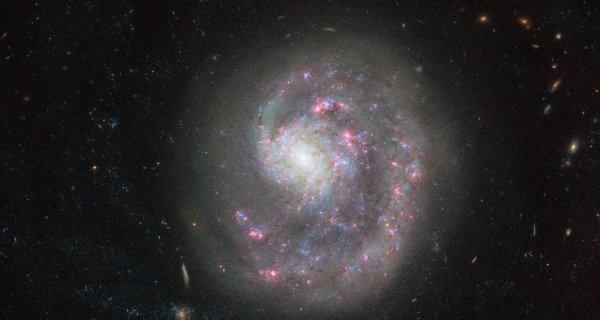 Карликовая спиральная галактика NGC 4625